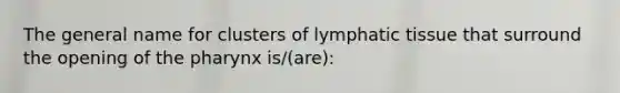 The general name for clusters of lymphatic tissue that surround the opening of the pharynx is/(are):