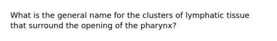 What is the general name for the clusters of lymphatic tissue that surround the opening of <a href='https://www.questionai.com/knowledge/ktW97n6hGJ-the-pharynx' class='anchor-knowledge'>the pharynx</a>?