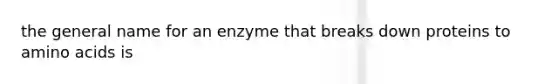 the general name for an enzyme that breaks down proteins to amino acids is