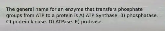 The general name for an enzyme that transfers phosphate groups from ATP to a protein is A) ATP Synthase. B) phosphatase. C) protein kinase. D) ATPase. E) protease.