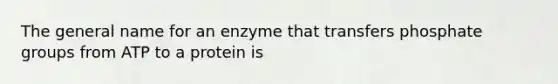 The general name for an enzyme that transfers phosphate groups from ATP to a protein is