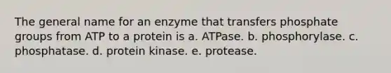 The general name for an enzyme that transfers phosphate groups from ATP to a protein is a. ATPase. b. phosphorylase. c. phosphatase. d. protein kinase. e. protease.