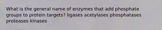 What is the general name of enzymes that add phosphate groups to protein targets? ligases acetylases phosphatases proteases kinases