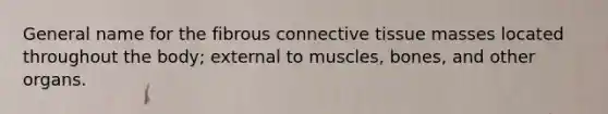 General name for the fibrous connective tissue masses located throughout the body; external to muscles, bones, and other organs.