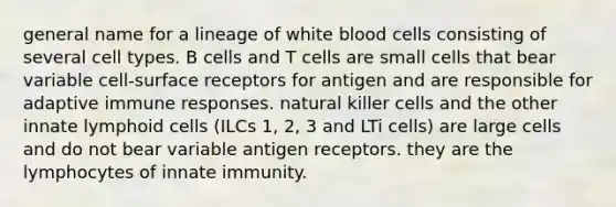 general name for a lineage of white blood cells consisting of several cell types. B cells and T cells are small cells that bear variable cell-surface receptors for antigen and are responsible for adaptive immune responses. natural killer cells and the other innate lymphoid cells (ILCs 1, 2, 3 and LTi cells) are large cells and do not bear variable antigen receptors. they are the lymphocytes of innate immunity.