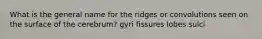 What is the general name for the ridges or convolutions seen on the surface of the cerebrum? gyri fissures lobes sulci