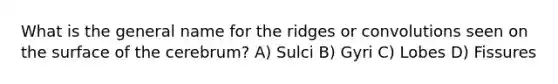 What is the general name for the ridges or convolutions seen on the surface of the cerebrum? A) Sulci B) Gyri C) Lobes D) Fissures