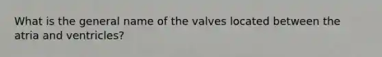 What is the general name of the valves located between the atria and ventricles?