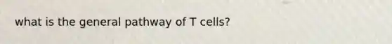 what is the general pathway of T cells?