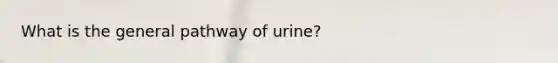 What is the general pathway of urine?