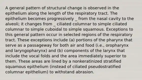 A general pattern of structural change is observed in the epithelium along the length of the respiratory tract. The epithelium becomes progressively _ from the nasal cavity to the alveoli; it changes from _ ciliated columnar to simple ciliated columnar to simple cuboidal to simple squamous. Exceptions to this general pattern occur in selected regions of the respiratory tract. These exceptions include (a) portions of the pharynx that serve as a passageway for both air and food (i.e., oropharynx and laryngopharynx) and (b) components of the larynx that include the vocal folds and the area immediately superior to them. These areas are lined by a nonkeratinized stratified squamous epithelium (instead of ciliated pseudostratified columnar epithelium) to withstand abrasion.