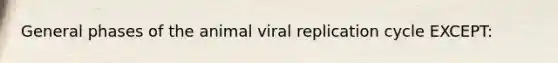 General phases of the animal viral replication cycle EXCEPT: