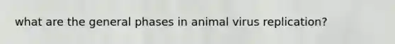what are the general phases in animal virus replication?