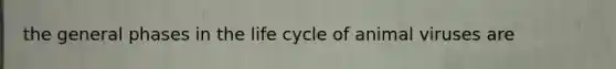 the general phases in the life cycle of animal viruses are