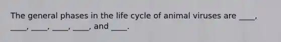 The general phases in the life cycle of animal viruses are ____, ____, ____, ____, ____, and ____.