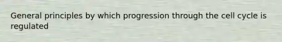 General principles by which progression through the cell cycle is regulated