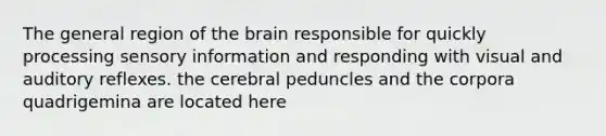 The general region of the brain responsible for quickly processing sensory information and responding with visual and auditory reflexes. the cerebral peduncles and the corpora quadrigemina are located here