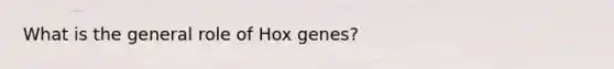 What is the general role of Hox genes?