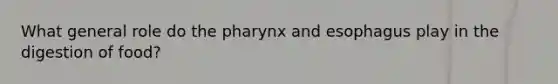 What general role do the pharynx and esophagus play in the digestion of food?