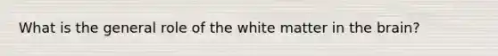 What is the general role of the white matter in the brain?