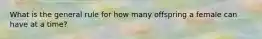 What is the general rule for how many offspring a female can have at a time?