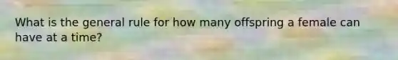 What is the general rule for how many offspring a female can have at a time?