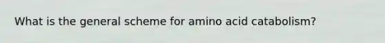 What is the general scheme for amino acid catabolism?