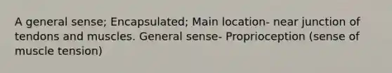 A general sense; Encapsulated; Main location- near junction of tendons and muscles. General sense- Proprioception (sense of muscle tension)