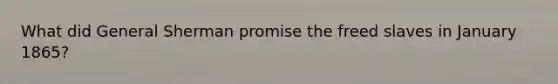 What did General Sherman promise the freed slaves in January 1865?