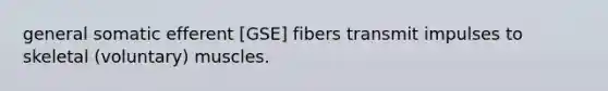 general somatic efferent [GSE] fibers transmit impulses to skeletal (voluntary) muscles.