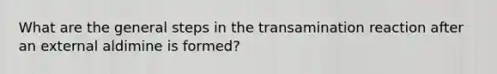 What are the general steps in the transamination reaction after an external aldimine is formed?