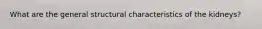 What are the general structural characteristics of the kidneys?