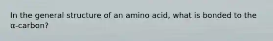 In the general structure of an amino acid, what is bonded to the α-carbon?