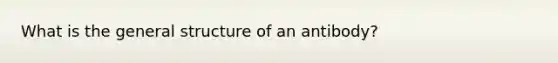 What is the general structure of an antibody?