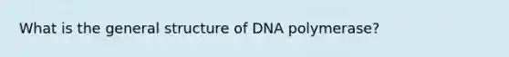 What is the general structure of DNA polymerase?