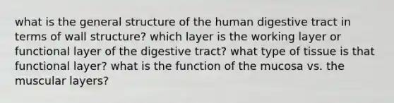 what is the general structure of the human digestive tract in terms of wall structure? which layer is the working layer or functional layer of the digestive tract? what type of tissue is that functional layer? what is the function of the mucosa vs. the muscular layers?