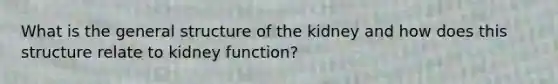 What is the general structure of the kidney and how does this structure relate to kidney function?