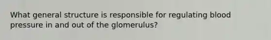 What general structure is responsible for regulating blood pressure in and out of the glomerulus?