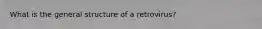 What is the general structure of a retrovirus?