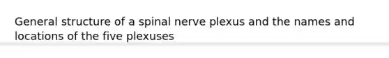 General structure of a spinal nerve plexus and the names and locations of the five plexuses