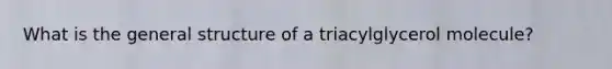 What is the general structure of a triacylglycerol molecule?