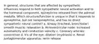 In general, structures that are affected by sympathetic influences respond to both sympathetic neural activation and to the hormonal component, epinephrine released from the adrenal medulla. Which structure/function is unique in that it responds to epinephrine, but not norepinephrine, and has no direct sympathetic neural control? a. Airway (tracheal, bronchiolar) smooth muscle: relaxation b. Atrioventricular node: increased automaticity and conduction velocity c. Coronary arteries: constriction d. Iris of the eye: dilation (mydriasis) e. Renal juxtaglomerular apparatus: renin release