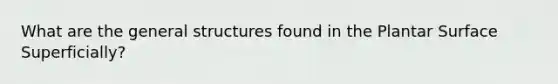 What are the general structures found in the Plantar Surface Superficially?