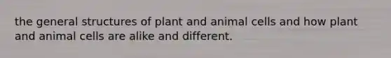 the general structures of plant and animal cells and how plant and animal cells are alike and different.