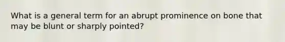 What is a general term for an abrupt prominence on bone that may be blunt or sharply pointed?