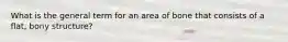 What is the general term for an area of bone that consists of a flat, bony structure?