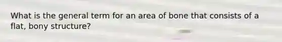 What is the general term for an area of bone that consists of a flat, bony structure?