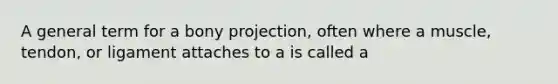 A general term for a bony projection, often where a muscle, tendon, or ligament attaches to a is called a