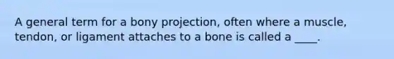 A general term for a bony projection, often where a muscle, tendon, or ligament attaches to a bone is called a ____.