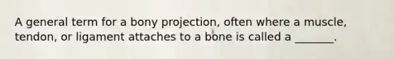 A general term for a bony projection, often where a muscle, tendon, or ligament attaches to a bone is called a _______.